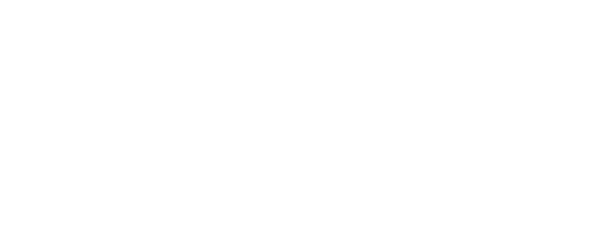 Pavio Marketing 360