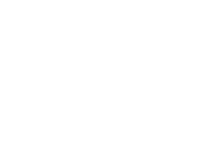 Pavio 360